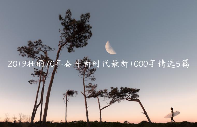 2019壮丽70年奋斗新时代最新1000字精选5篇