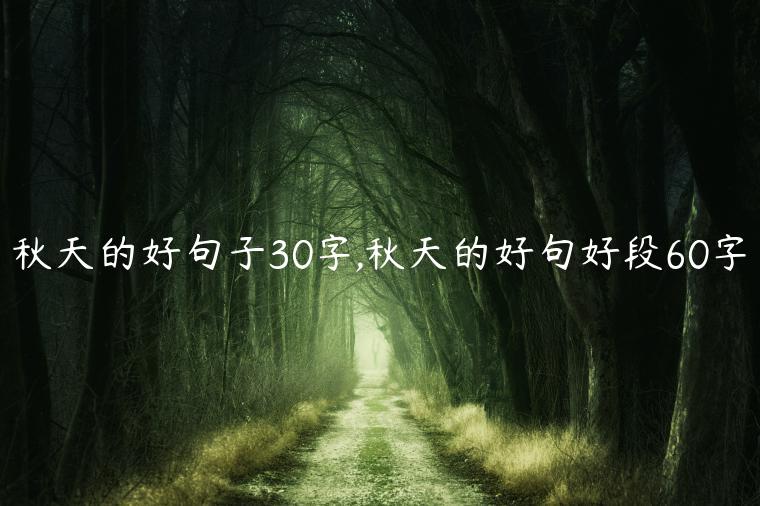 秋天的好句子30字,秋天的好句好段60字