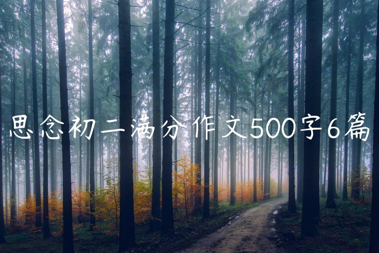 思念初二满分作文500字6篇