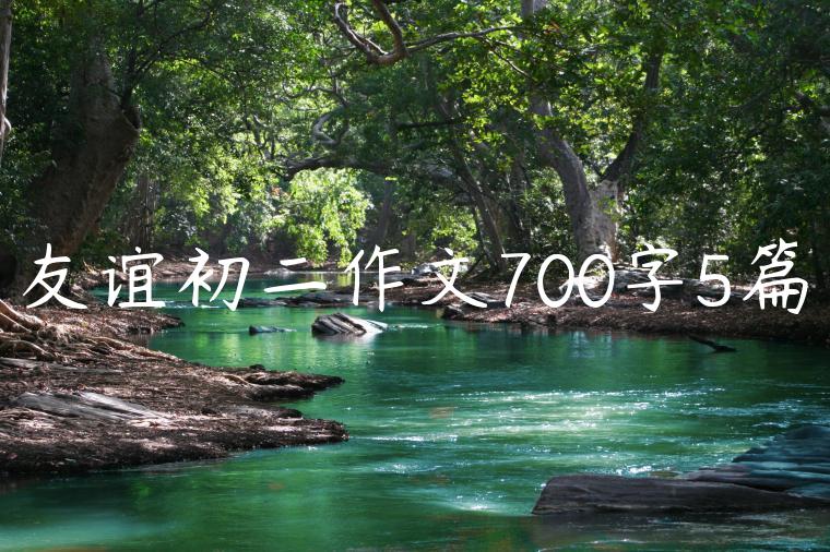 友谊初二作文700字5篇