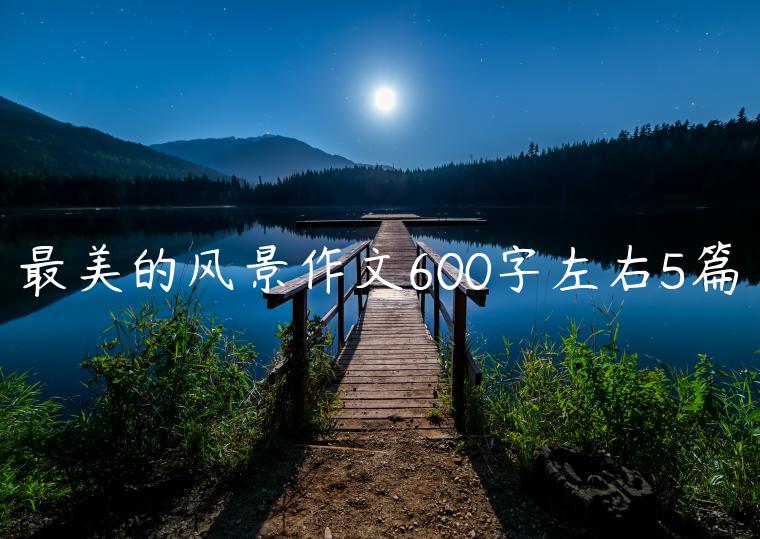 最美的风景作文600字左右5篇