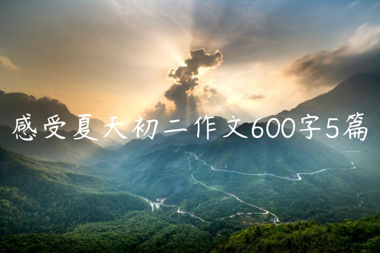 感受夏天初二作文600字5篇